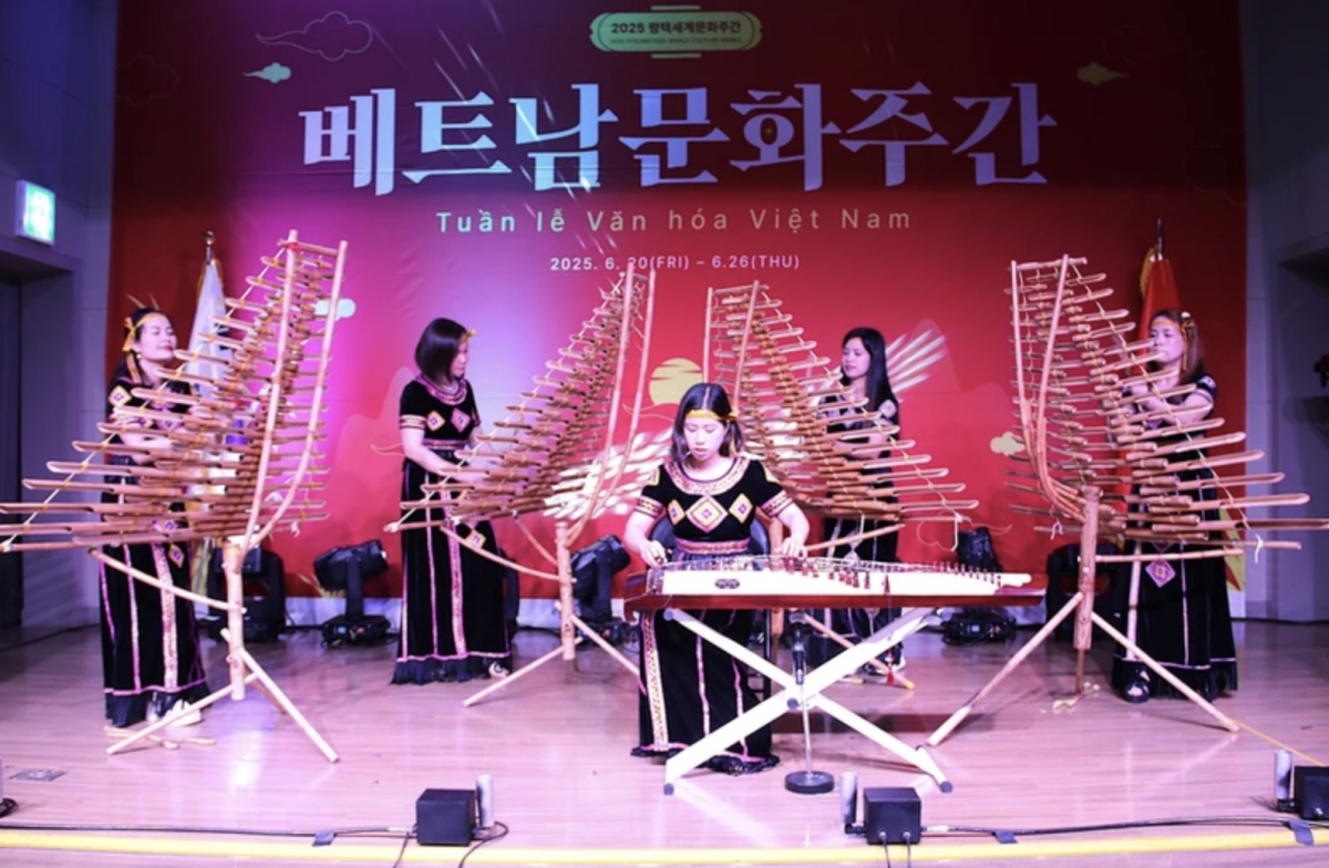 Vietnamese culture takes centre stage in Korean city
